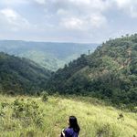 Twinkle Brahma - @__leafish__ - Instagram