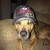 Lea Foster - @lea.foster6 - TikTok