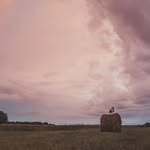 lea fulton - @leafulton66 - Instagram