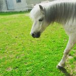 lea_ gruber - @letschi_31 - Instagram