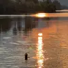 𝓛𝓮𝓪𝓱 🌊🤍 - @leah.gundersen - TikTok
