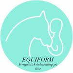 Hesteterapeut Lea Gundersen - @equiform_hesteterapeut - Instagram