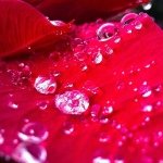 Lea Erickson Hagerty - @leahagerty - Instagram