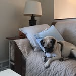 Lea Hanson - @lea_hanson0606 - Instagram