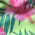 Leahanson - @lea_hanson06 - Instagram