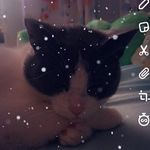 Leah Harrell - @leahharrell175 - Instagram