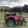 LEA HARRISON - @lea.harrison22 - TikTok