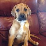 Carol Lea Hastings - @carolhastings194 - Instagram