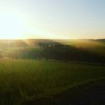 Lea Hauser - @leaha237 - Instagram