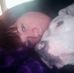 Lea Herbert - Facebook