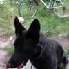 lea Herrmann - @leaaliciabff - TikTok