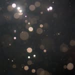 Lea Heuser - @mollys.zwergis - Instagram