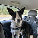 Lea Higgins - @lea_higginss59 - Instagram