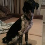 Lea Hinkel - Facebook