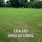 Lea-Ho at your Service - Facebook