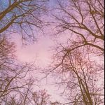 Lea Hodges - @lea.hodges - Instagram