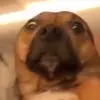 Lea - @lea.householder - TikTok