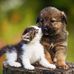 Lea Holmes - Facebook