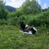 Leaaa - @lea.achhorner - TikTok