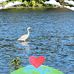 Lea Horvath - Facebook