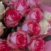 Leah Owens  - Facebook