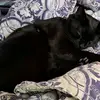 CrazyUnicornLady - @leahubbard27 - TikTok