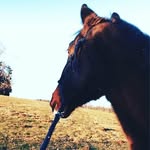 431789 - @lea_hubersberger - Instagram