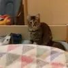Lea Huber  - @leja14 - TikTok
