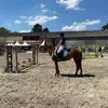 Lea_H - @lea_huff - TikTok
