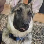 Kathy Lea Huffman - @kathyhuffman1494 - Instagram
