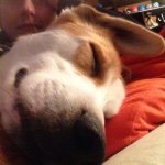 Kendra Lea Hull - @qenjrah - Instagram