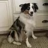 Lea Shull - @lea.shull - TikTok