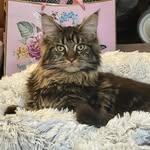 Lea Jacobs - @kznsouth - Instagram