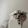 Leakish - @474740 - TikTok