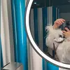 Lea kitchen - @leakitchenn - TikTok
