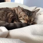 Leah Kline - @leah.kline.1257 - Instagram