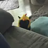 Lea - @lea.lemonz - TikTok