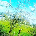 Lea.Lena.13 - @lea.lena.13 - Instagram