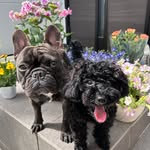 𝐋𝐈𝐍𝐎♂𝐋𝐄𝐎𝐍♂𝐋𝐄𝐀♀ - @lea_leon_buhi - Instagram