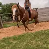 leah_lester - @leah_lester - TikTok