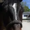 Lea Lilly - @lea.lilly.ck0 - TikTok