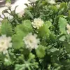 lea.lind - @lea.lind5 - TikTok
