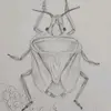 Łīnđłəā - @lindlea101 - TikTok
