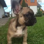Lea Lora Mitau - @lealoramitau - Instagram
