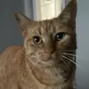 leah lowe - @leah.lowe - TikTok
