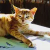 Lea.345.lucy - @lea.345.lucy - TikTok