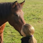 Lucy🐴💙Lea - @_lea_lucy_ - Instagram