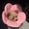 Lea Lujan186 - @lealealea5555 - TikTok