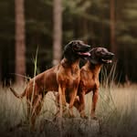 Lea a Luna - @lea.luna.bavorsky.farbiar - Instagram