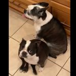 Leanne Lundberg - @lundbergleanne - Instagram